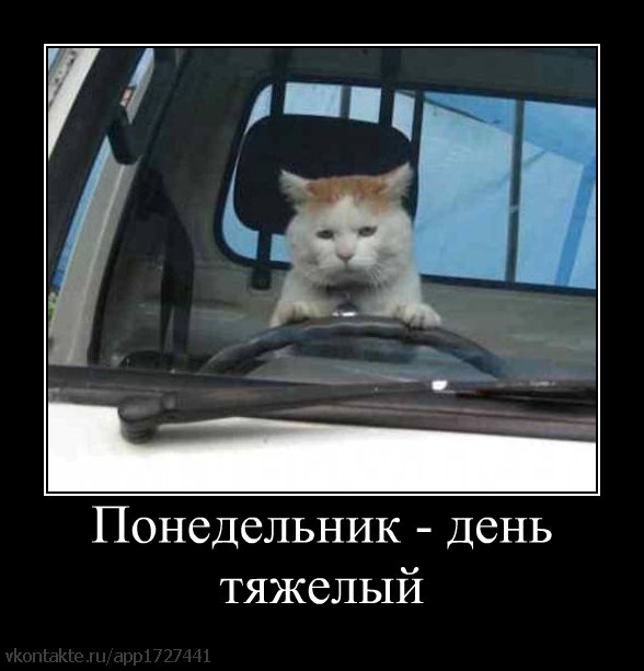 http://cs4225.vkontakte.ru/u11574428/101615390/z_6ff4f08d.jpg